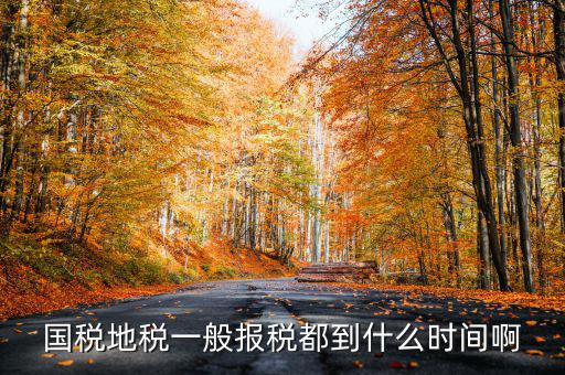 國(guó)稅上報(bào)省局什么時(shí)候，國(guó)稅地稅網(wǎng)上報(bào)稅時(shí)間