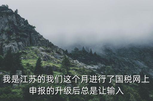 我是江蘇的我們這個(gè)月進(jìn)行了國稅網(wǎng)上申報(bào)的升級(jí)后總是讓輸入
