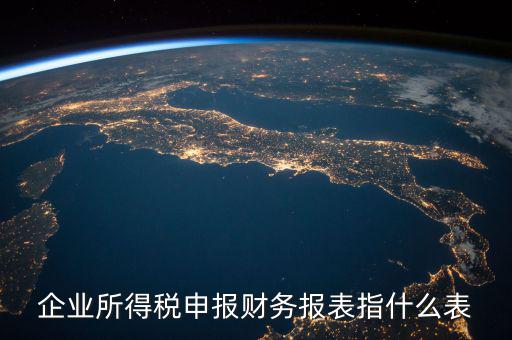 企業(yè)所得稅申報財務報表指什么表