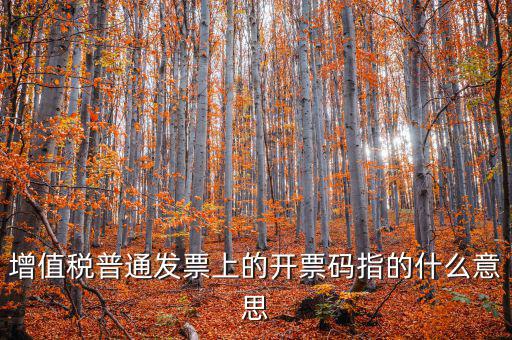 稅控盤開票碼是什么意思，增值稅普通發(fā)票上的開票碼指的什么意思