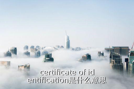 納稅人證書是什么意思，具有納稅人資格是什么意思