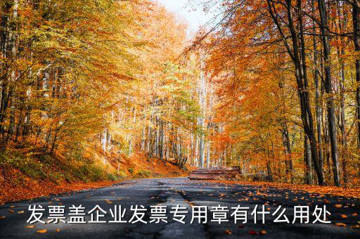 發(fā)票專用章有什么用，公司的發(fā)票專用章是干嘛用的