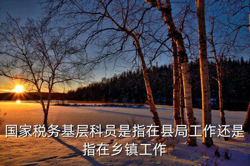 稅務(wù)系統(tǒng)的基層指什么，國(guó)家稅務(wù)基層科員是指在縣局工作還是指在鄉(xiāng)鎮(zhèn)工作