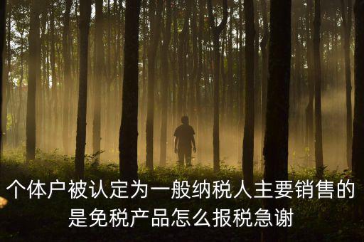 個(gè)體戶被認(rèn)定為一般納稅人主要銷(xiāo)售的是免稅產(chǎn)品怎么報(bào)稅急謝