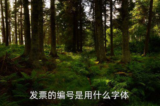 發(fā)票中公司字體是什么字體，發(fā)票的編號是用什么字體