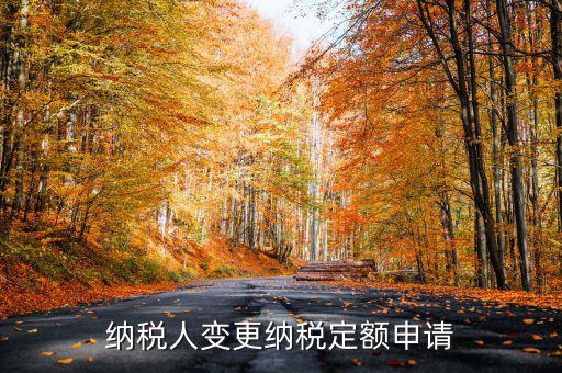 變更納稅定額什么意思，調(diào)整應(yīng)納稅所得額什么意思