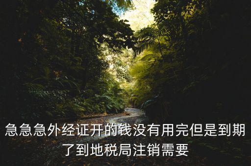 急急急外經(jīng)證開(kāi)的錢沒(méi)有用完但是到期了到地稅局注銷需要