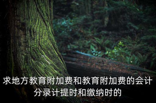 地方教育費(fèi)附加是什么意思，教育費(fèi)附加代表什么意思