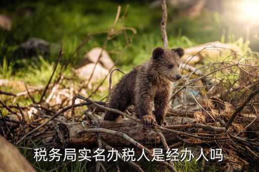 辦稅負責人是什么意思，現(xiàn)在實行的辦稅人員實名登記其中的財務(wù)負責人辦稅人員發(fā)票經(jīng)辦人