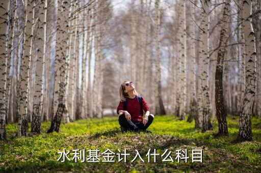 水利基金指什么，水利基金計入什么科目