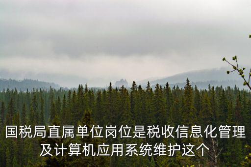 什么是國稅信息化，信息化在稅務管理中有什么作用