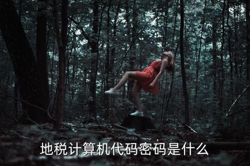 地稅稅務(wù)登陸密碼是什么意思，湖北地稅網(wǎng)絡(luò)發(fā)票登陸密碼是什么急急急