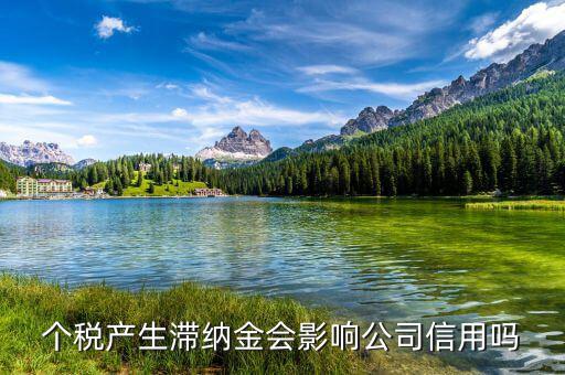 稅收滯納金有什么影響，地稅報(bào)稅逾期產(chǎn)生滯納金會對公司有甚么影響