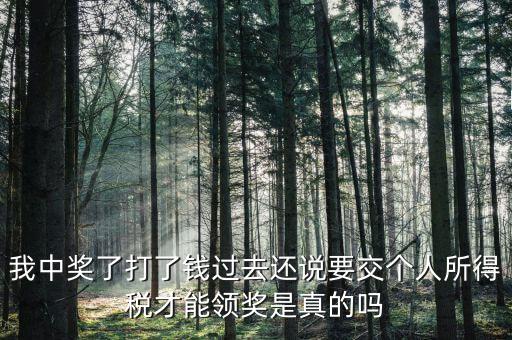 我中獎(jiǎng)了打了錢過(guò)去還說(shuō)要交個(gè)人所得稅才能領(lǐng)獎(jiǎng)是真的嗎