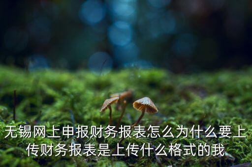 為什么要上傳報表，無錫網上申報財務報表怎么為什么要上傳財務報表是上傳什么格式
