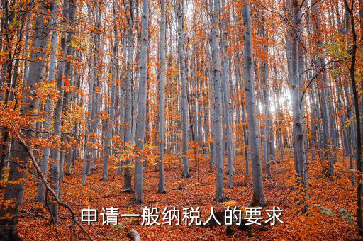 納稅人需求什么，申請一般納稅人的要求