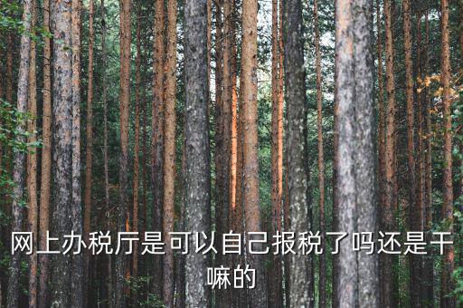 什么是網(wǎng)上辦稅服務(wù)廳，電子申報(bào)管理系統(tǒng)和網(wǎng)上辦稅大廳有什么不同的