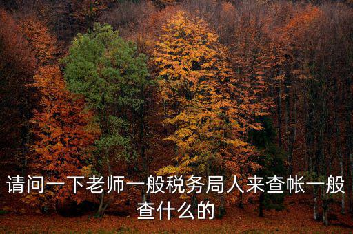 請(qǐng)問一下老師一般稅務(wù)局人來查帳一般查什么的