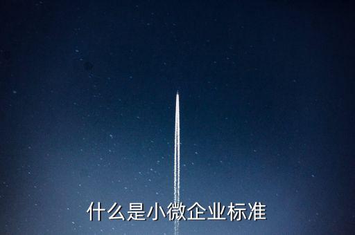 什么樣的標(biāo)準(zhǔn)是小薇企業(yè)，什么是小微企業(yè)標(biāo)準(zhǔn)