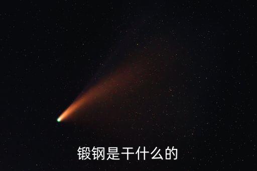 弘遠泰斯是干什么的，飛踏是干什么的