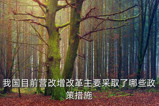 目前營改增政策暫不包括什么，營改增的范圍不包括  A軌道交通運輸 B航空公司出租飛機(jī)配