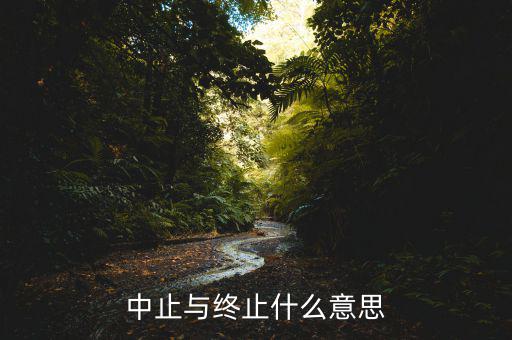 應(yīng)稅服務(wù)中止什么意思，中止和終止有什么區(qū)別
