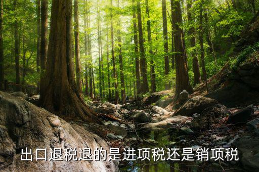 出口退稅退的是什么稅，出口退稅退的是進(jìn)項稅還是銷項稅