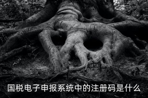 納稅申報碼是什么碼，什么是納稅申報號