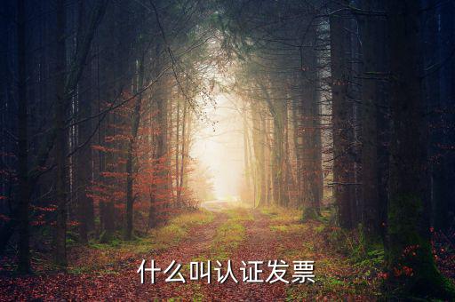 什么叫認(rèn)證發(fā)票，什么叫認(rèn)證增值稅發(fā)票如何認(rèn)證好像還有手工認(rèn)證是怎么回事啊