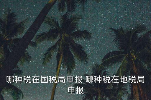 國稅局可以申報什么稅，在國稅申報的稅種有哪些稅率是多少