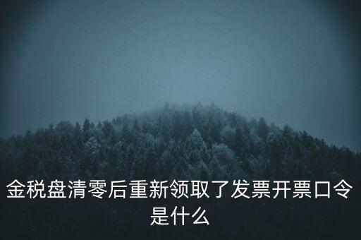 金稅盤口令是什么，金稅盤密碼口令忘記已試個(gè)6次還能試嗎