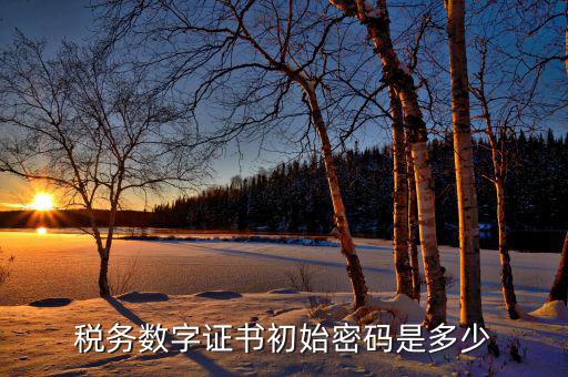 金稅盤ca密碼是什么，稅務密鑰是什么東西是數(shù)字證書嗎