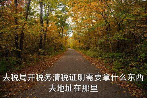 去稅局開稅務清稅證明需要拿什么東西去地址在那里