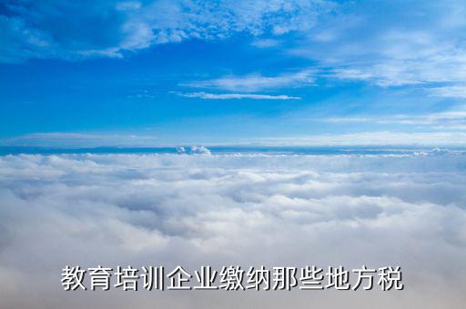 培訓(xùn)機(jī)構(gòu)應(yīng)交什么稅，民辦非企業(yè)培訓(xùn)類學(xué)校應(yīng)交什么稅 請教指點(diǎn)