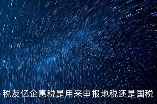 稅友報(bào)稅的是什么，稅友億企惠稅是用來申報(bào)地稅還是國稅