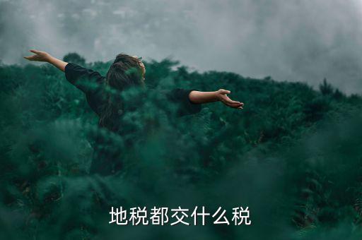 地稅需要報什么稅種，地稅應交哪些稅