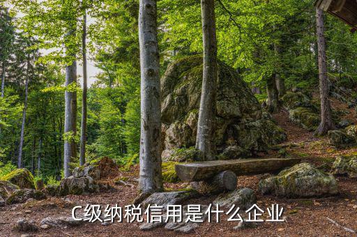 稅務(wù)等級(jí)c級(jí)是什么意思，申請(qǐng)一般納稅人abc類是什么意思
