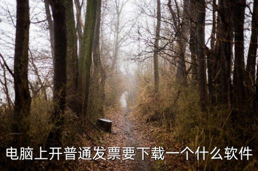 網(wǎng)絡(luò)開票需要下載什么軟件下載，電腦打發(fā)票是不是要下載一個什么軟件