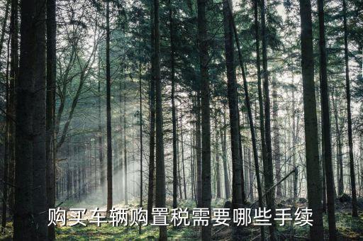 車購置稅證明什么手續(xù)，購買車輛購置稅需要哪些手續(xù)