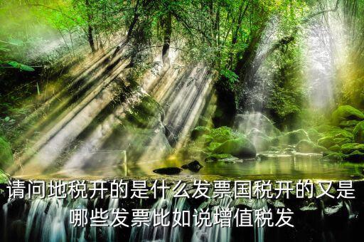 請(qǐng)問地稅開的是什么發(fā)票國(guó)稅開的又是哪些發(fā)票比如說增值稅發(fā)