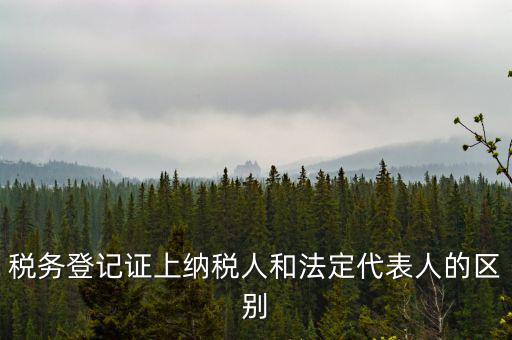 納稅人法定人是什么意思，稅務(wù)登記證上納稅人和法定代表人的區(qū)別