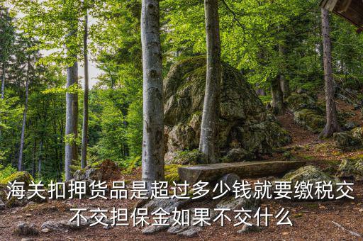 納稅擔(dān)保什么意思，海關(guān)扣押貨品是超過多少錢就要繳稅交不交擔(dān)保金如果不交什么