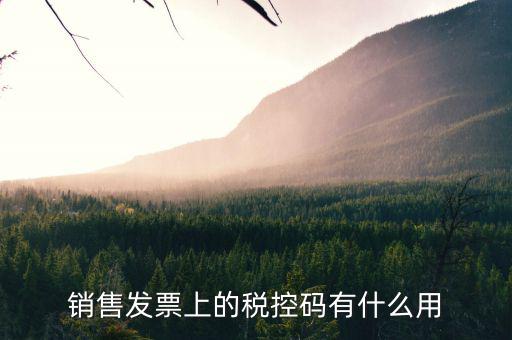 發(fā)票稅控碼是什么，國稅發(fā)票稅控碼