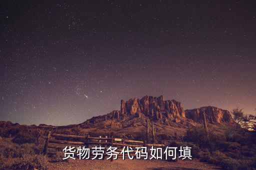 貨物勞務(wù)代碼是什么，貨物勞務(wù)代碼如何填