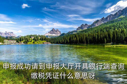 銀行端查詢繳稅憑證蓋什么章，銀行端查詢繳款憑證工會蓋什么章