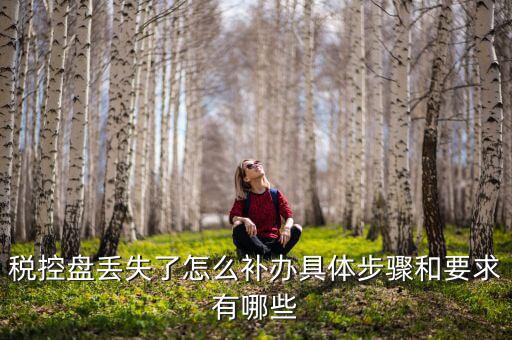 稅控盤丟失為什么要報案嗎，稅控盤丟失怎么處理