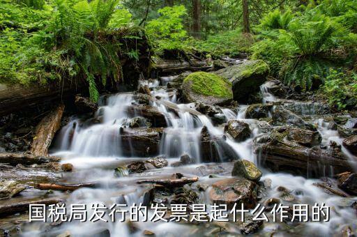 國家稅務局發(fā)票有什么用，發(fā)票有哪些作用呢