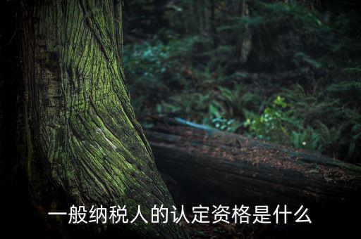 一般納稅人資格證是什么，請問一般納稅人應有什么證