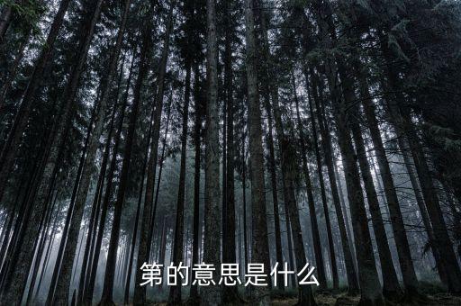 第稽什么意思，第是什么意思