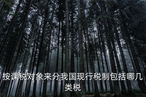 什么是現(xiàn)行稅收制度，說(shuō)明中國(guó)現(xiàn)行稅制增值稅的具體稅制要素有哪些